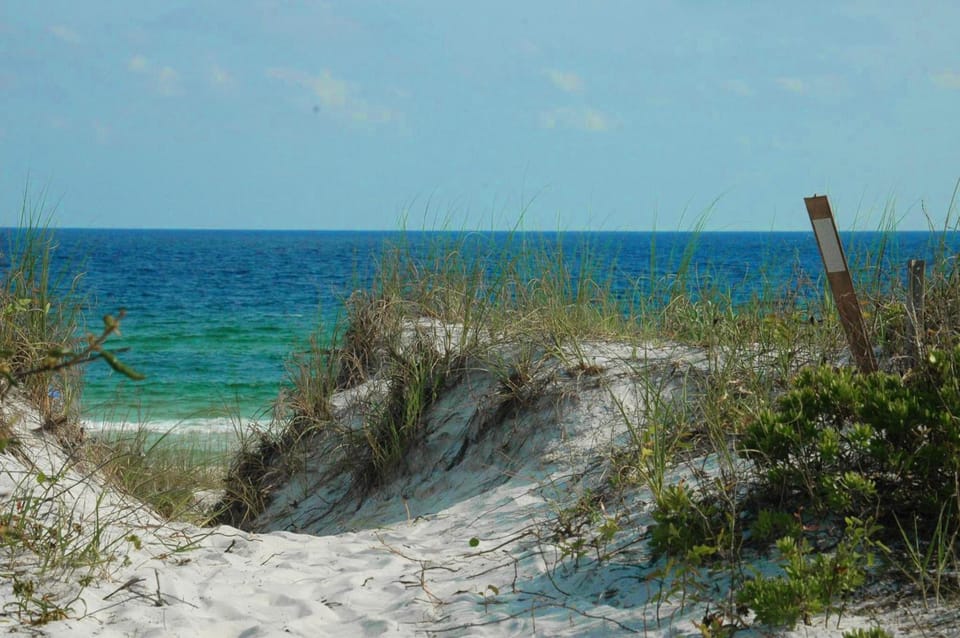 Town of Prominence- Just Beachy House in South Walton County