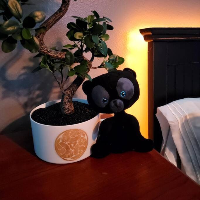 Amazing Star Wars & Disney Vr Gaming House! House in Kissimmee