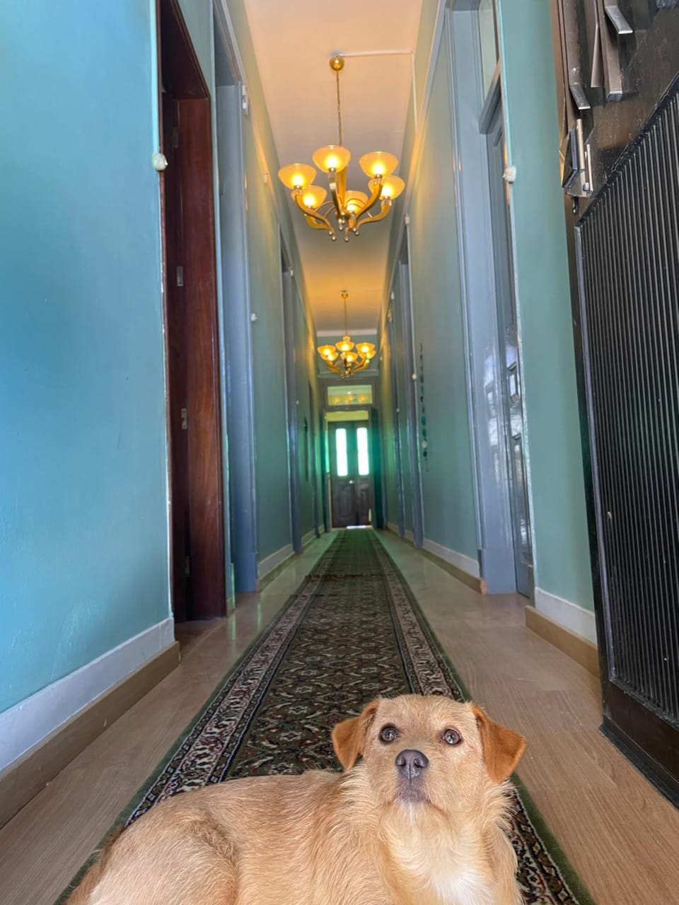 Facade/entrance, pet friendly