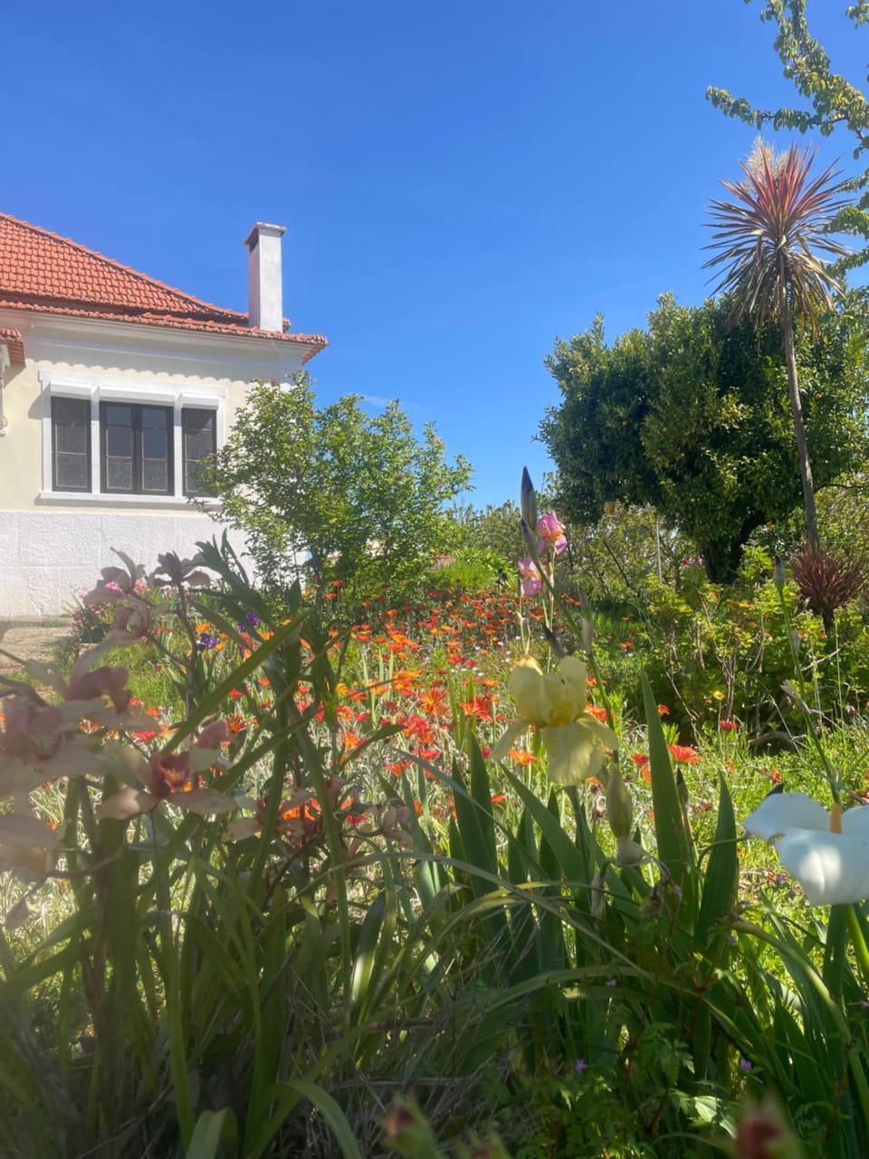 Day, Garden