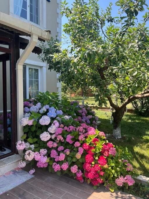 Villa Elegance Villa in İstanbul Province