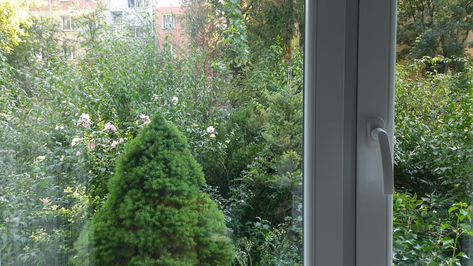 Natural landscape, Garden, Garden view