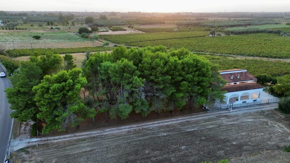 Property building, Natural landscape