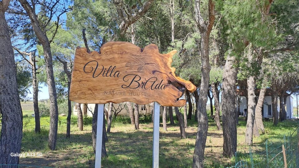 Natural landscape, Logo/Certificate/Sign