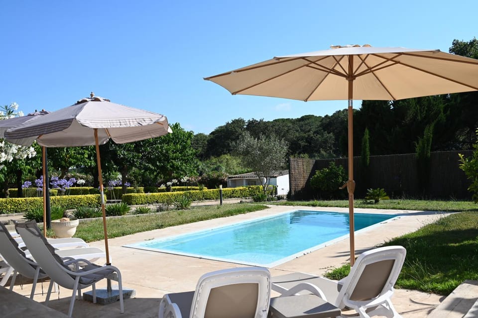 Garden, Pool view, Pool view, Swimming pool