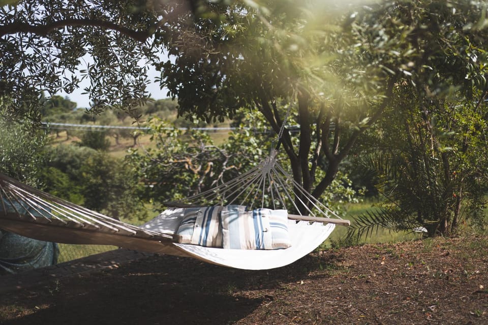 Villa Mariposa Bed and Breakfast in Marche