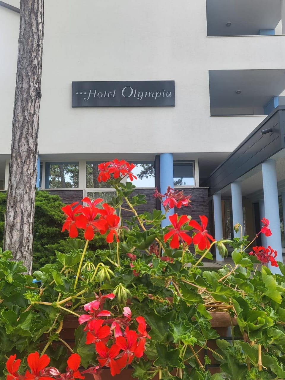 Hotel Olympia Hotel in Lignano Sabbiadoro