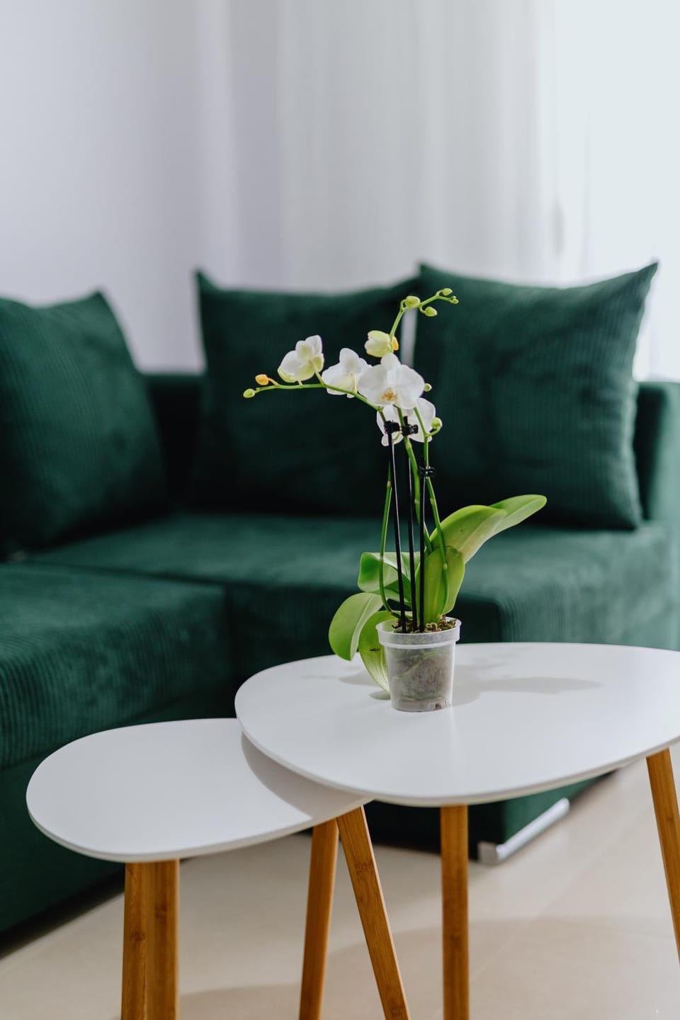 In Central Apartment in Alexandroupoli