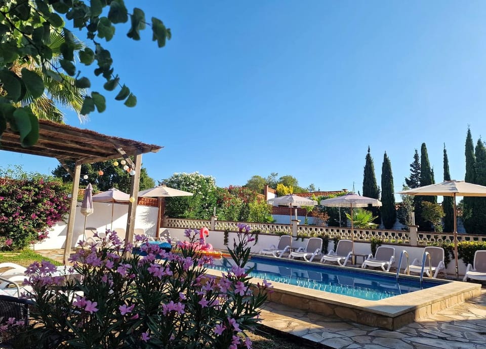 Day, Garden, Garden view, Pool view, Swimming pool, sunbed