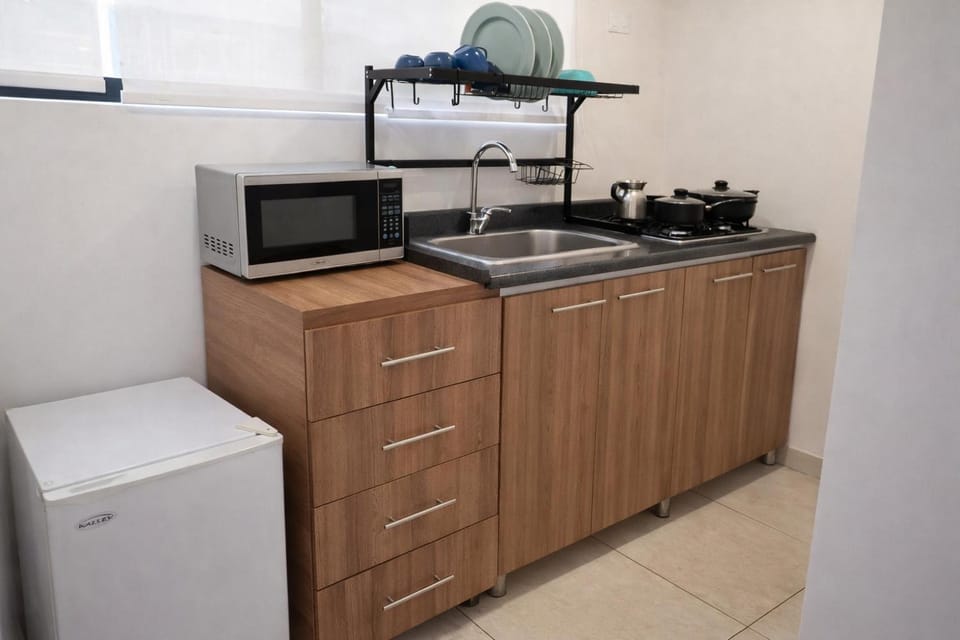 Kitchen or kitchenette, dishwasher, minibar, stove