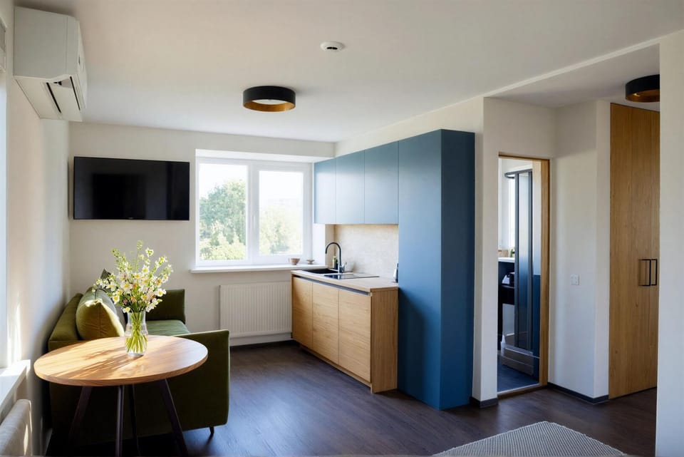 Cozy Family Apartments Apartment in Lithuania