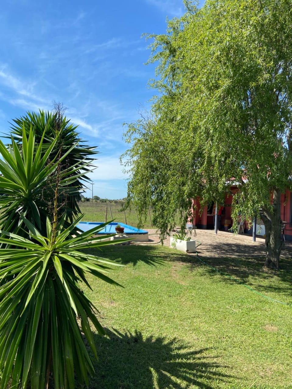 Pool view