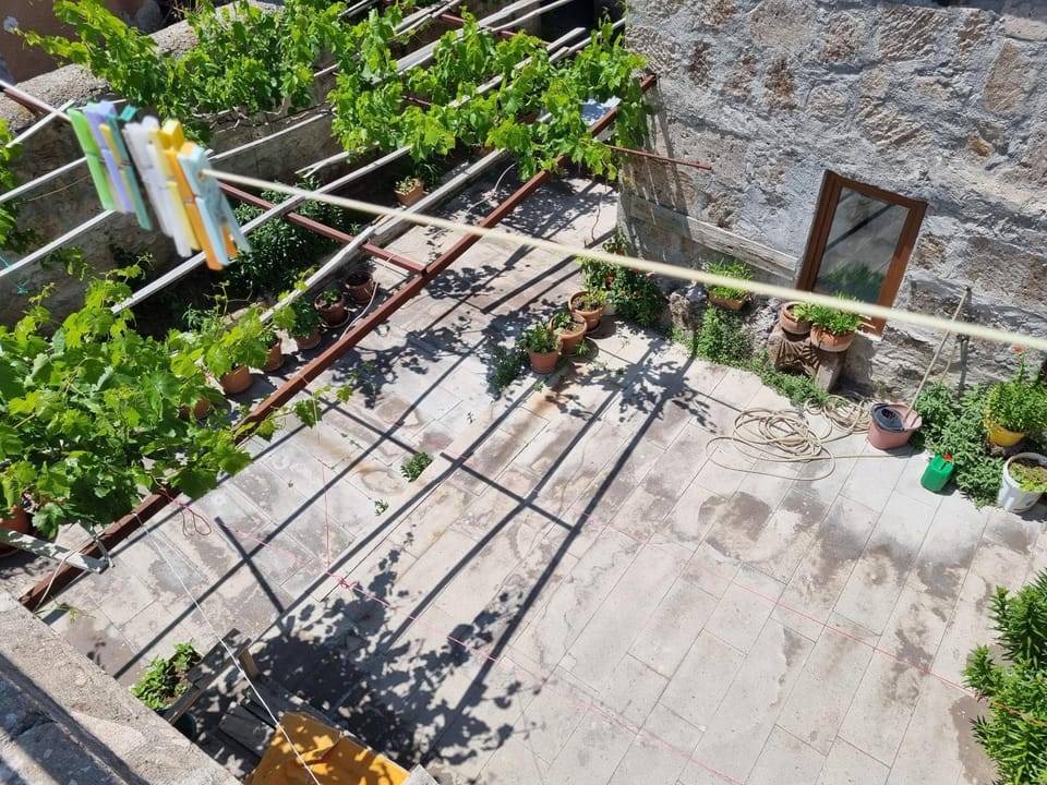 Garden view