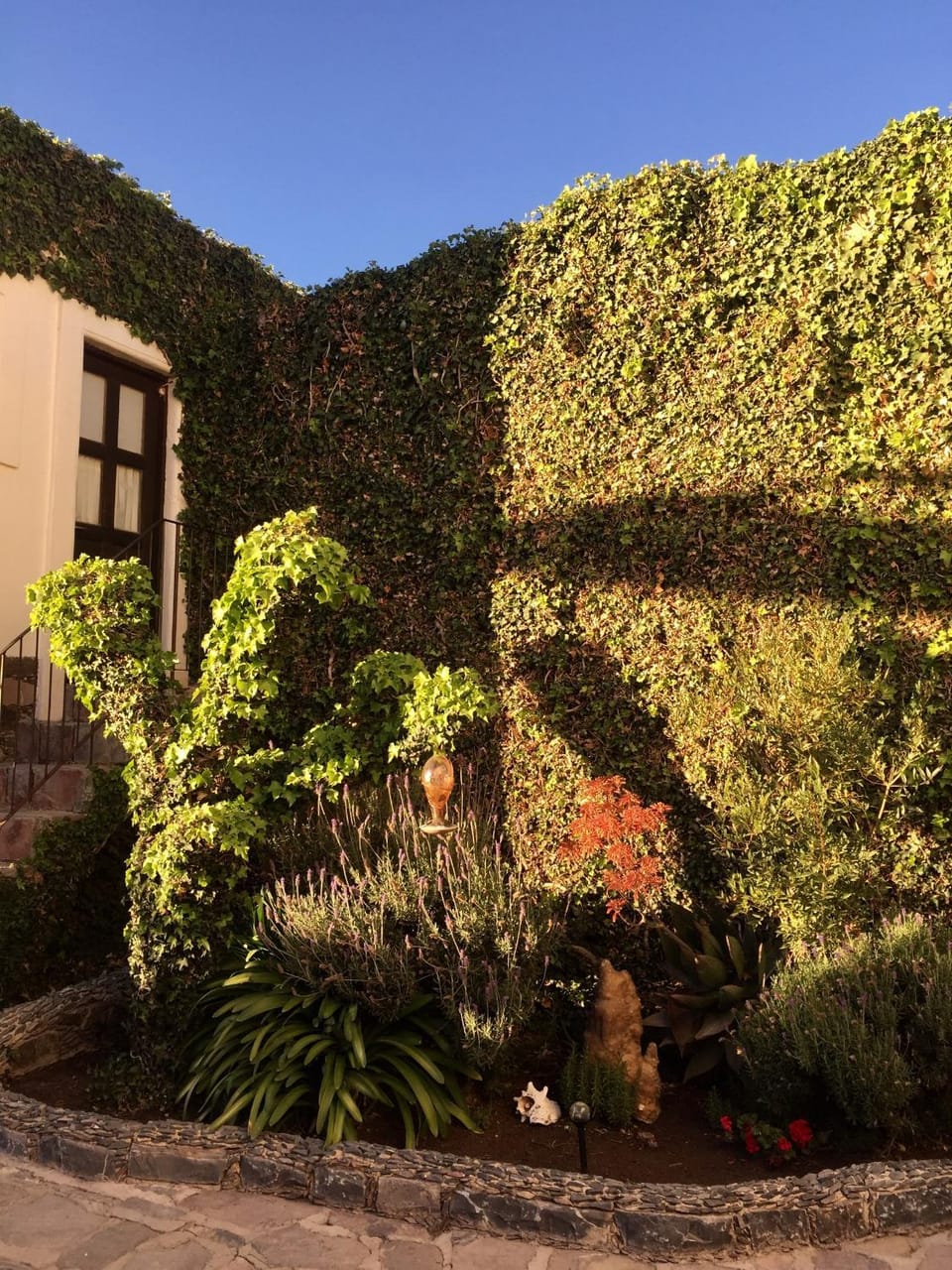 Garden view