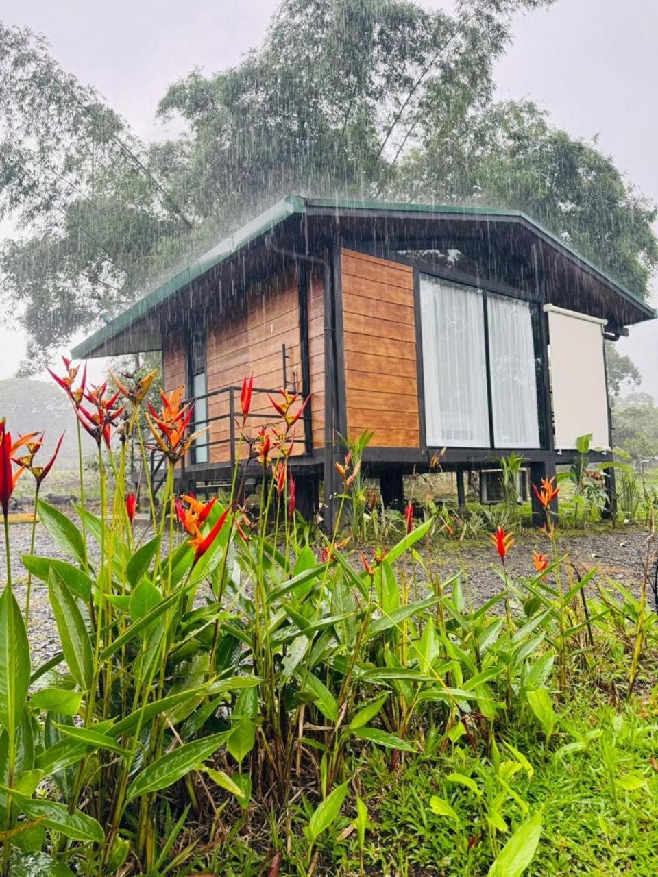 Cabañas La Hermosa #1 Nature lodge in Heredia Province