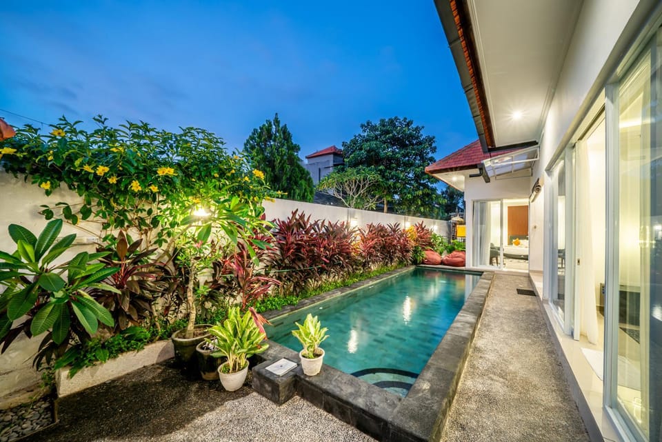Night, Garden, Pool view, Pool view
