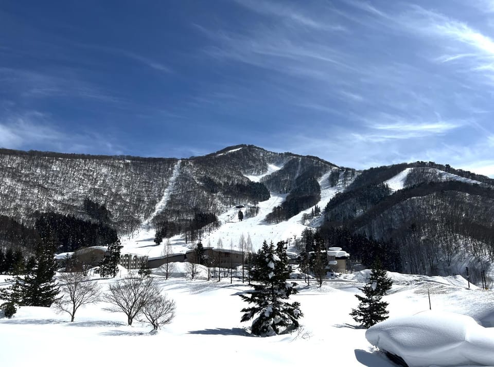Day, Winter, Skiing, Mountain view