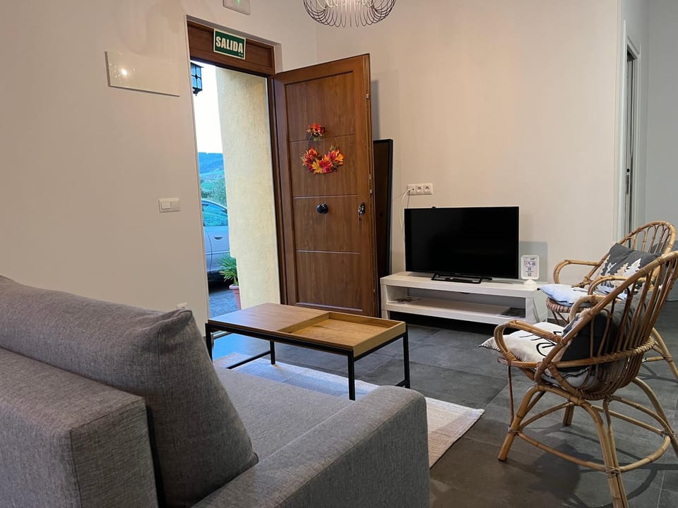 TV and multimedia, Living room, Seating area, air conditioner