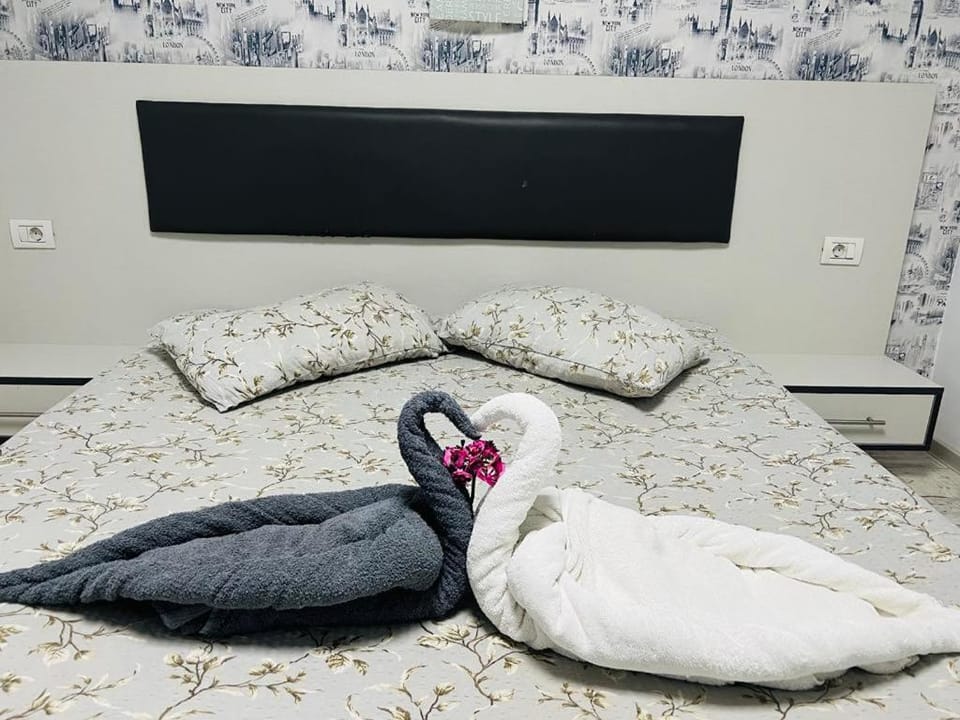 Sofia house Bed and Breakfast in Constanta