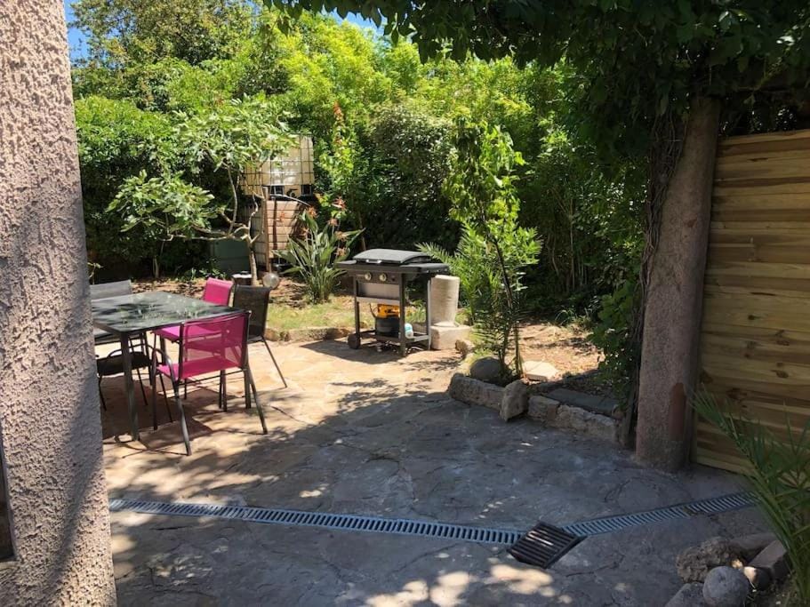Garden, Balcony/Terrace
