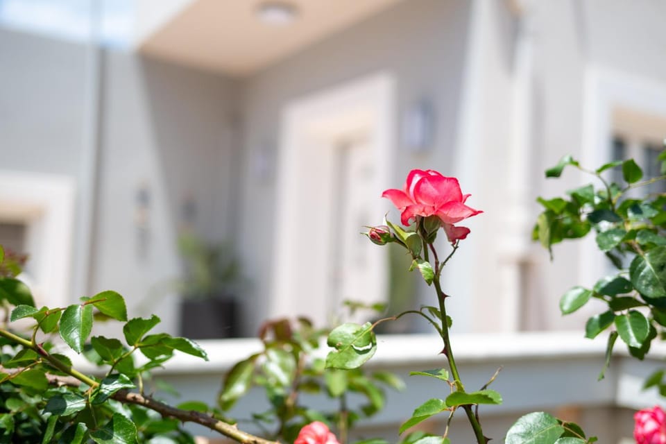 Casa Maestrale House in Kalymnos