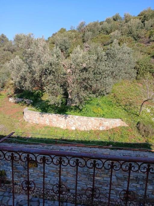 παραθαλασσιο σπιτι στην εξοχη House in Euboea
