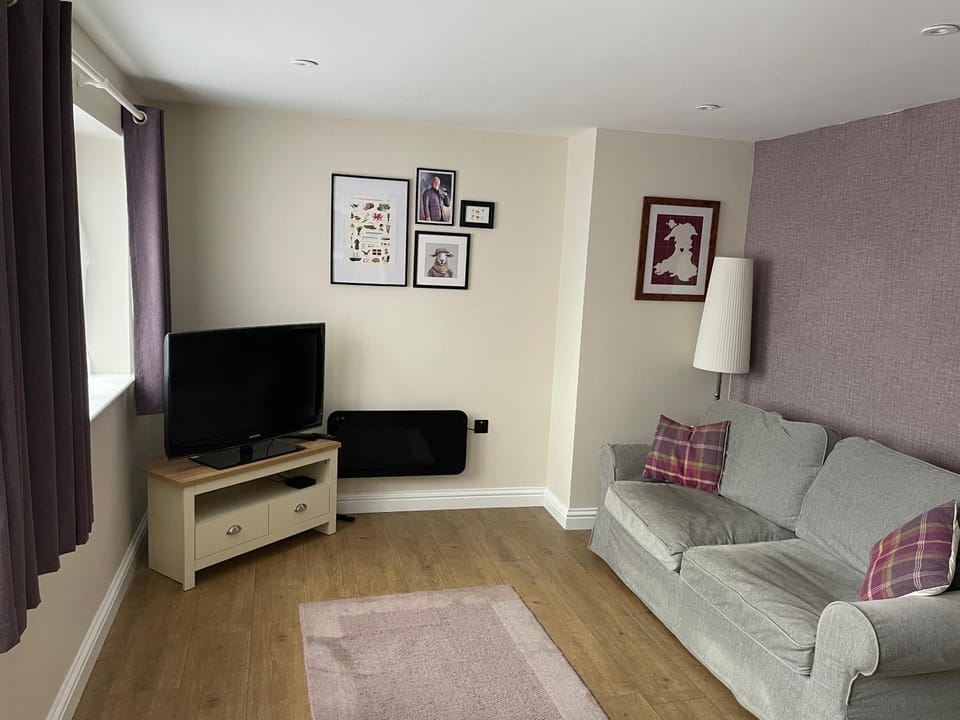 TV and multimedia, Living room