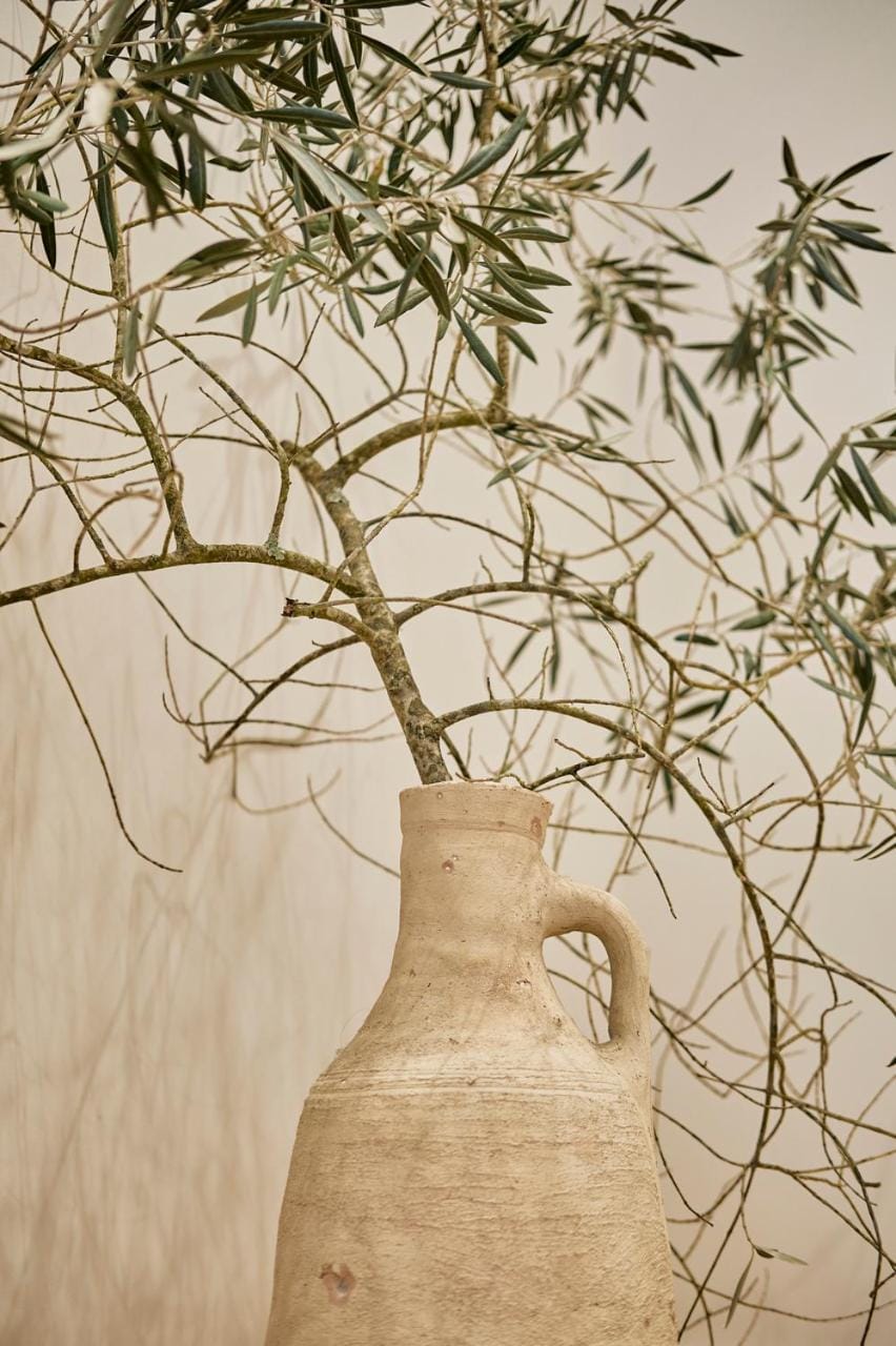 Casa Beltane Apartment in A Coruna