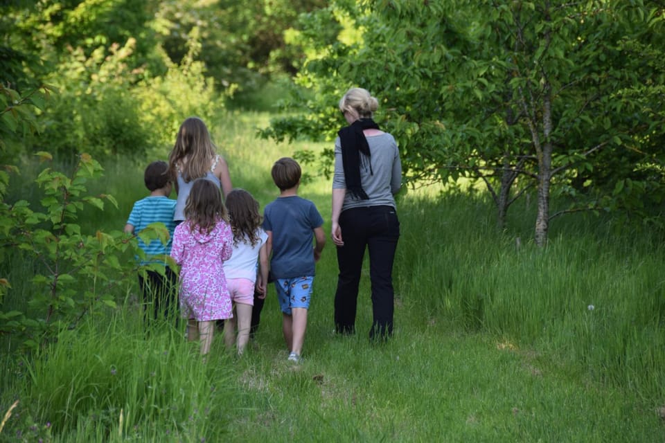 Spring, People, Natural landscape, On site, children, group of guests, Family
