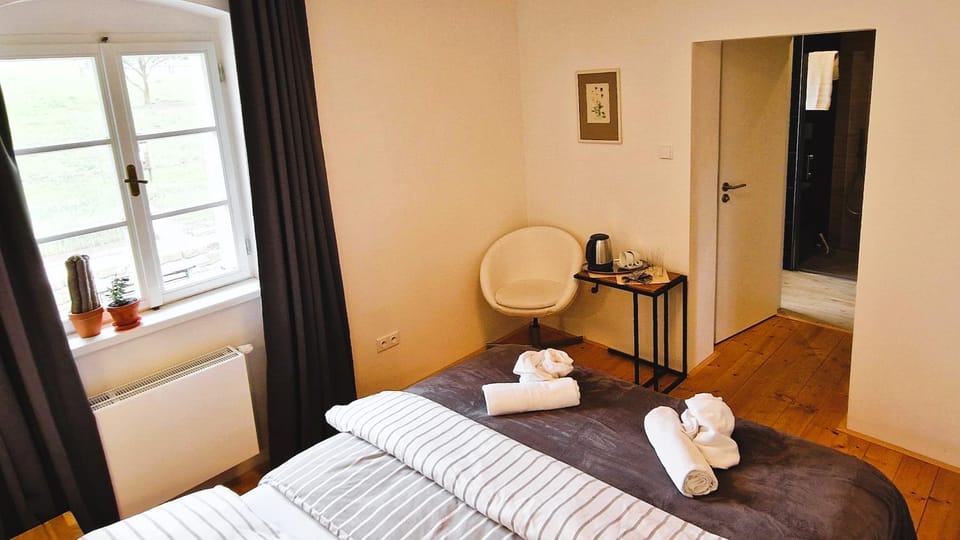 Kitchen or kitchenette, Bedroom
