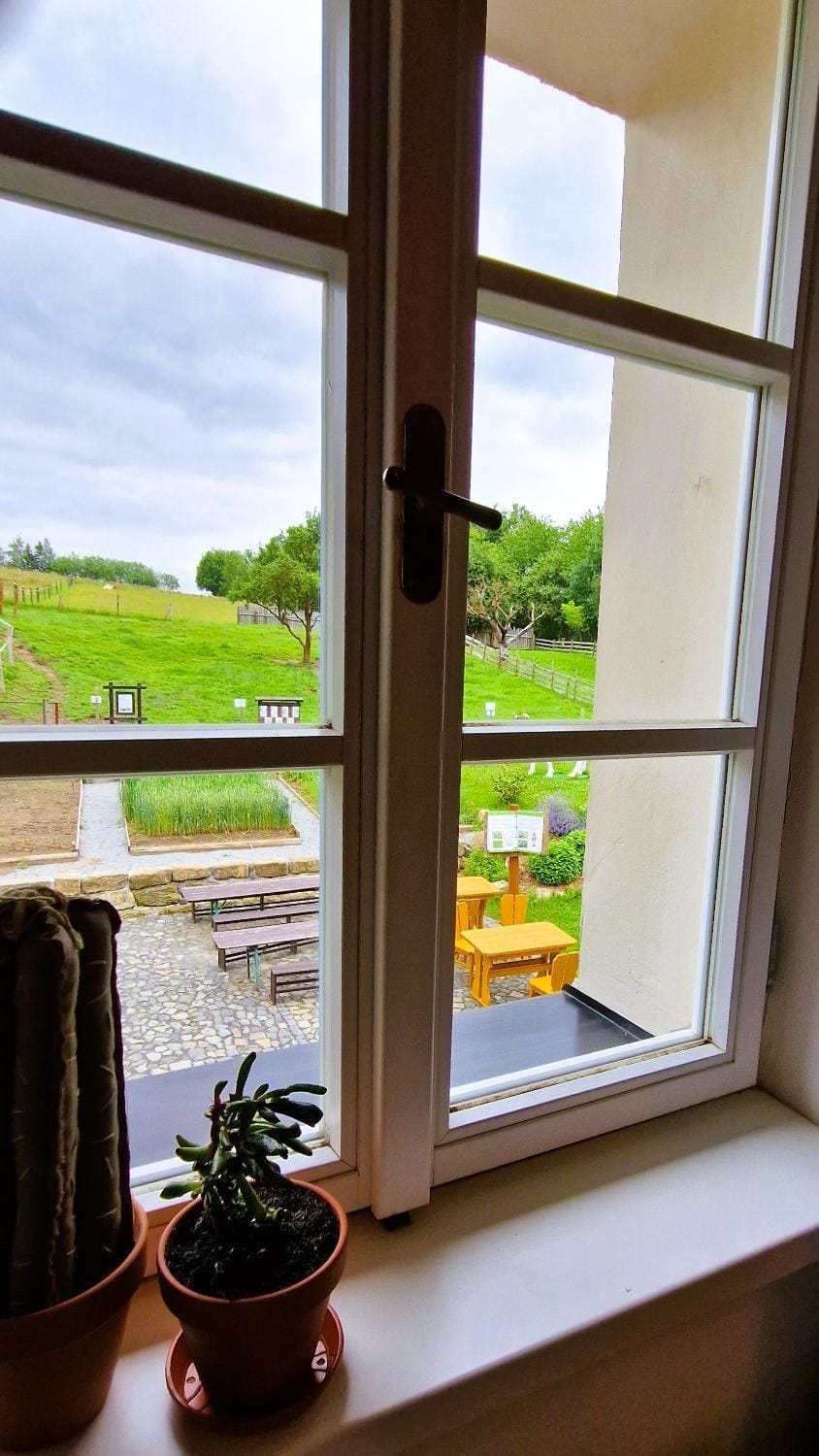 View (from property/room)