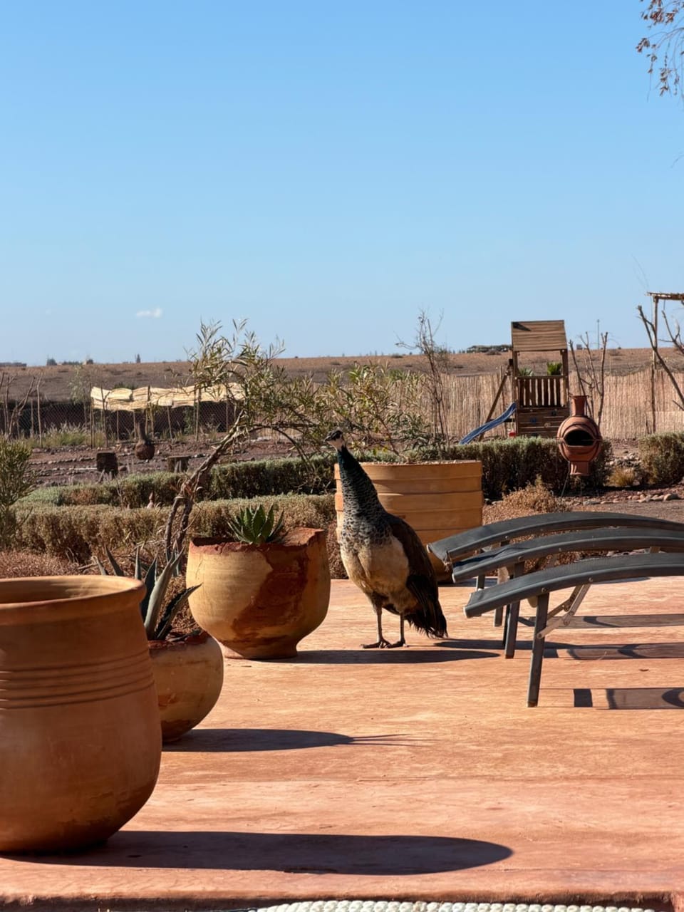 Villa Kela Serene Bed and Breakfast in Marrakesh