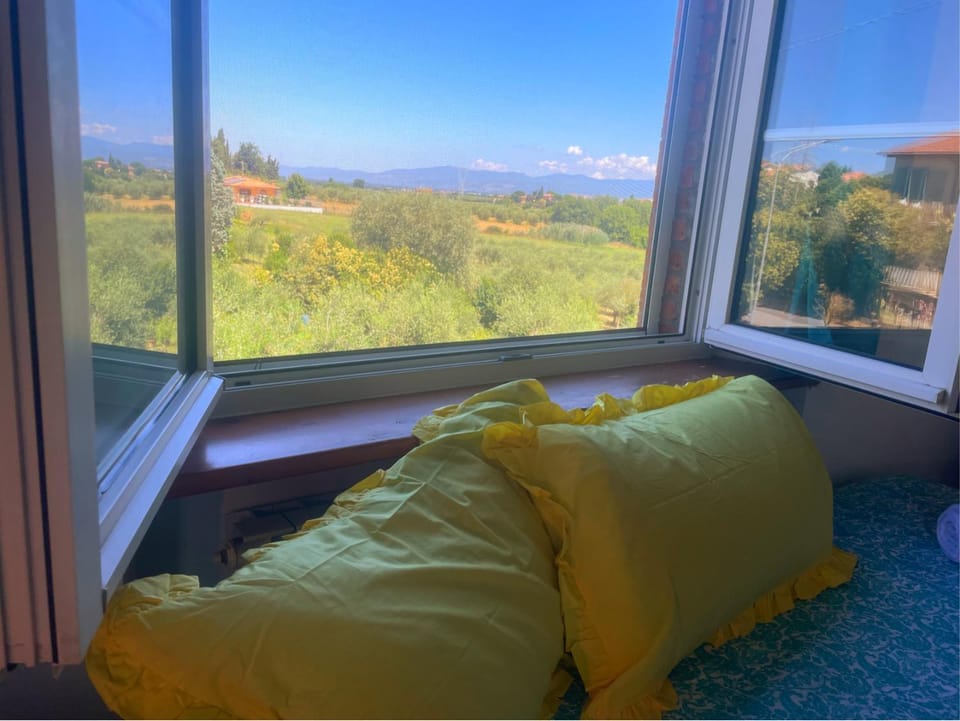 Natural landscape, Seating area, Mountain view