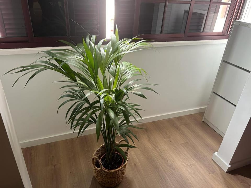 City Break by Isa Apartment in Santa Cruz de Tenerife