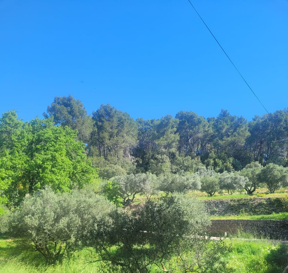 View (from property/room)