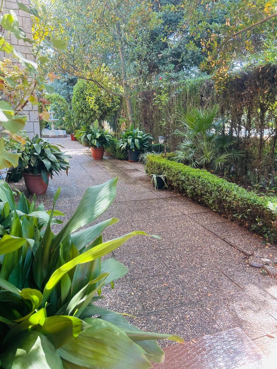 Spring, Day, Natural landscape, Garden, Garden view