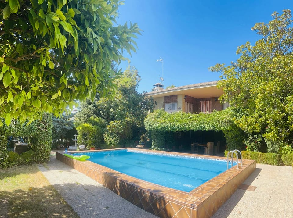 Day, Garden, Garden view, Pool view, Swimming pool, sunbed