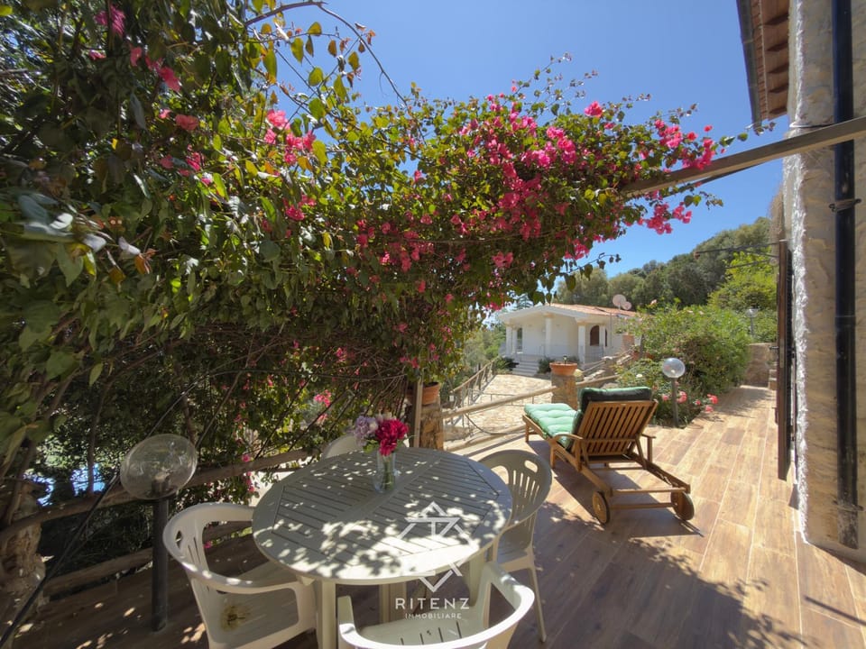 Patio, Garden, View (from property/room), Garden view