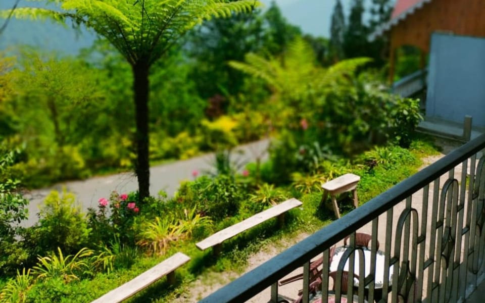 Day, Garden, Garden view