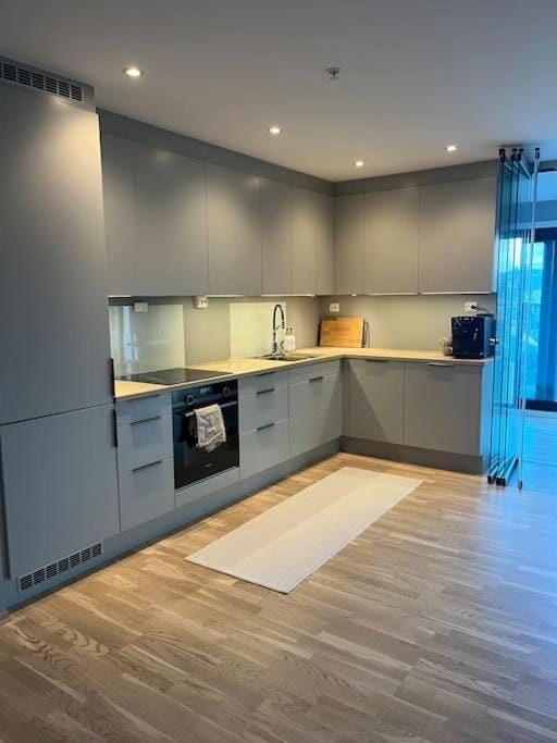 Kitchen or kitchenette, dishwasher, stove