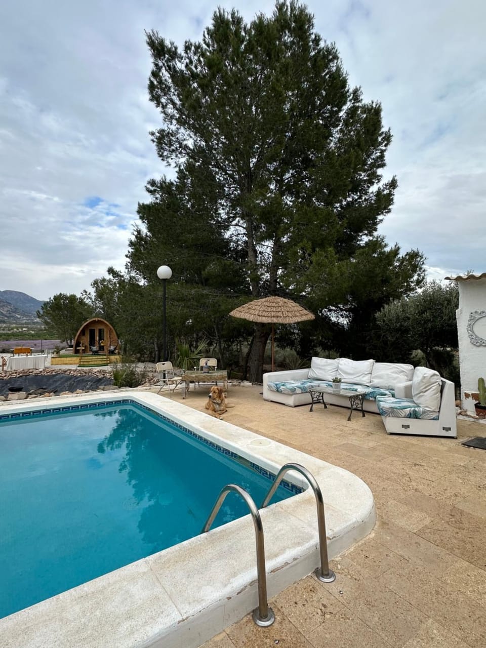 Swimming pool, sunbed