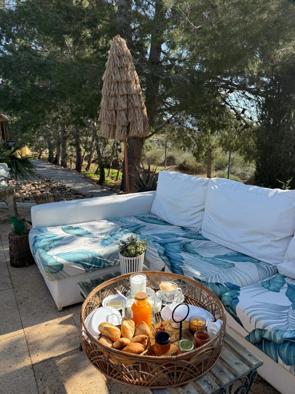 Balcony/Terrace, Breakfast