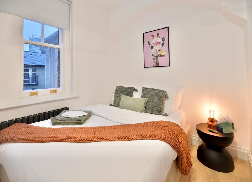 Newly Refurbished w/ River Views Apartment in London