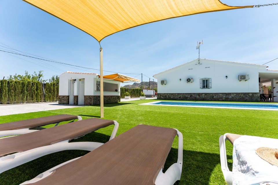 Spring, Garden, Garden view, Pool view, Swimming pool, sunbed