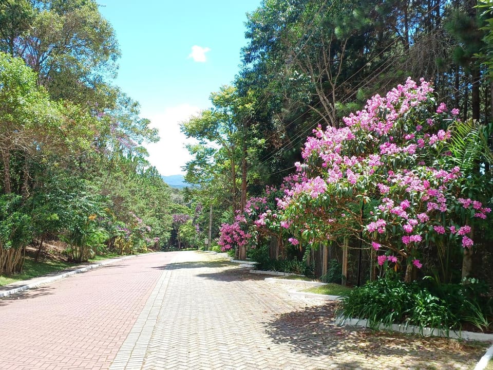 Spring