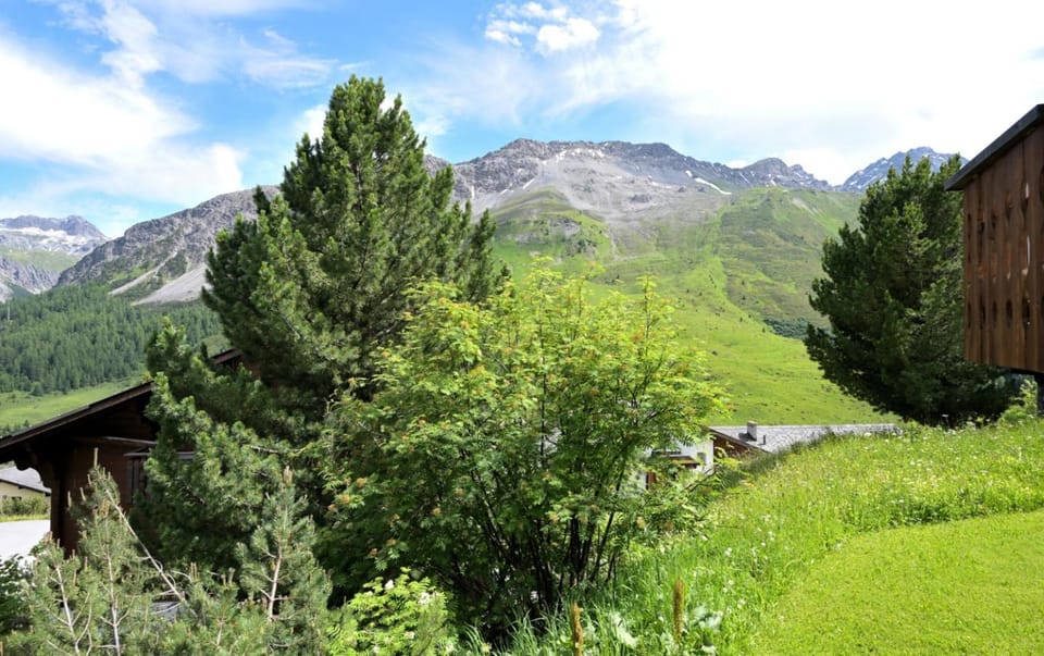 Mountain view