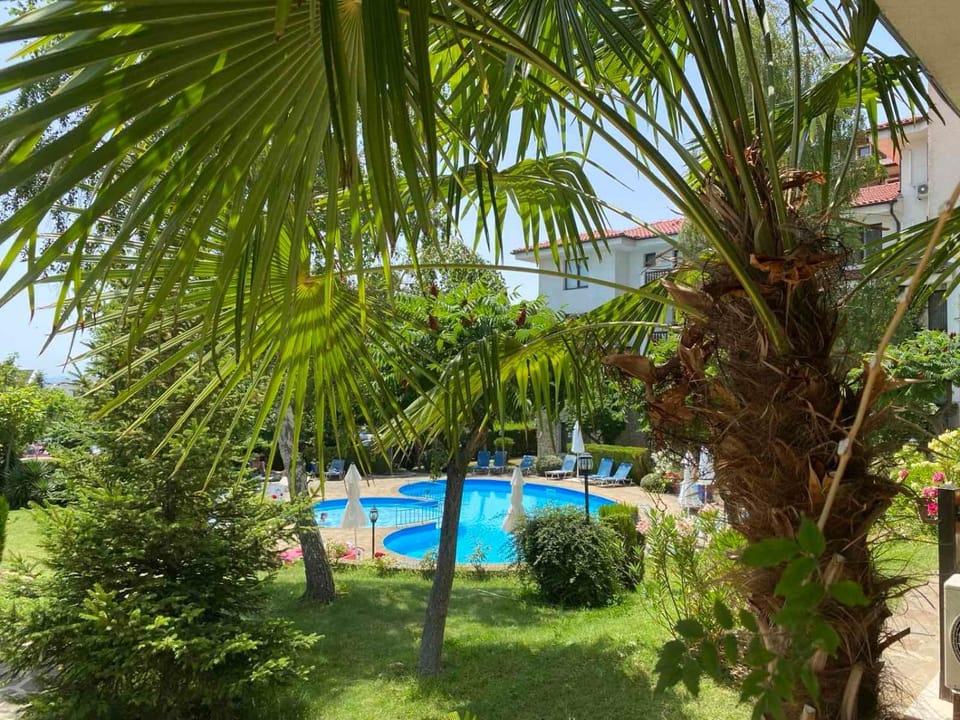 Garden, Garden, Swimming pool, sunbed