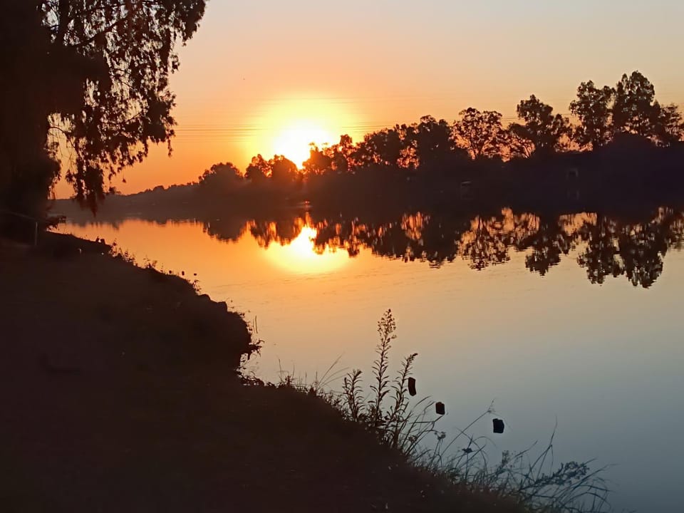 Fishing, View (from property/room)
