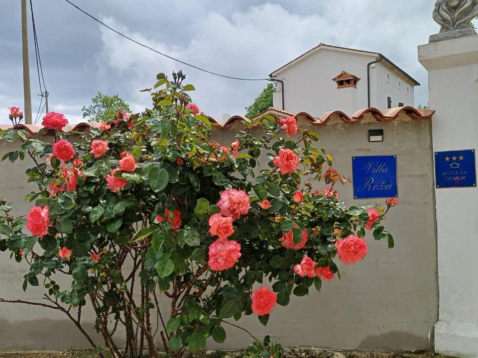 Villa Roža Villa in Istria County
