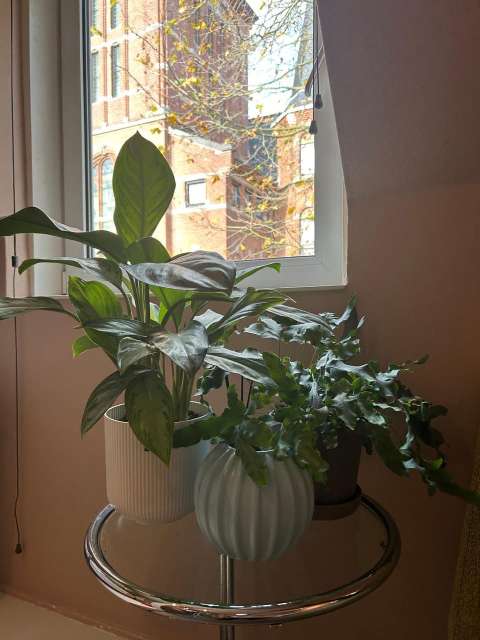 View (from property/room)